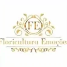 FE